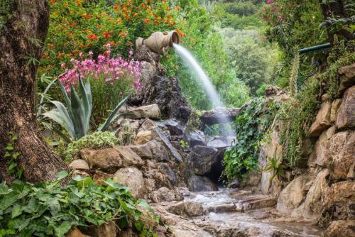 2-fontana tenuta-dei-Normanni