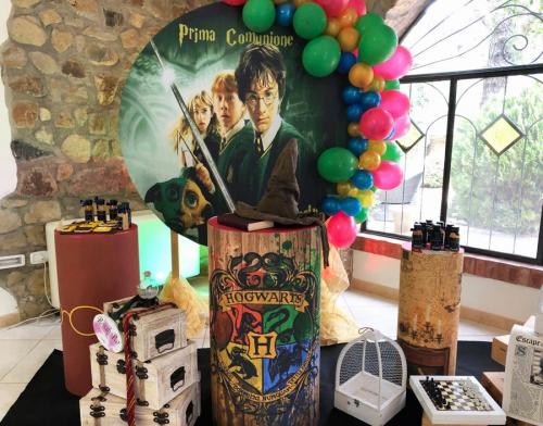 7-harry-potter-sala-Normanno-comunione tenuta-dei-Normanni