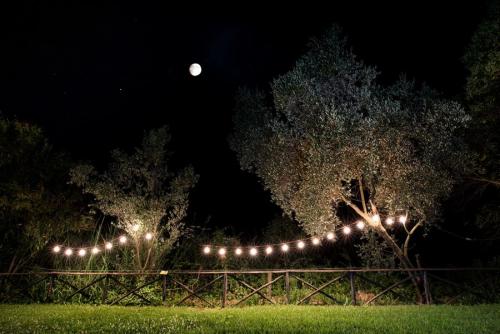 7-prato-e-luci tenuta-dei-Normanni-2