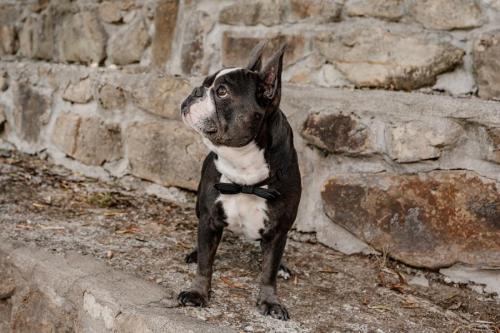 7-wedding tenuta-dei-Normanni