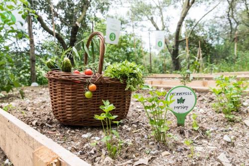 8-orto tenuta-dei-Normanni